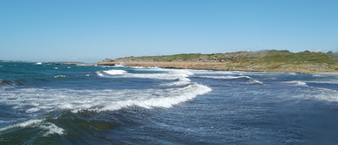 The Sea